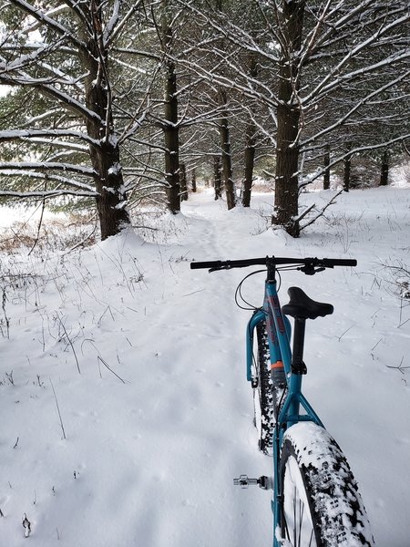 Fat biking