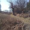 Mowed trail along the field