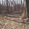 Typical signle track through the wooded area