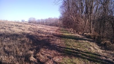Another mowed trail that is a shortcut to get you back to the Parking Area.