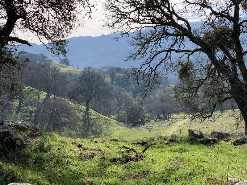 A view down Stone Coral Trail