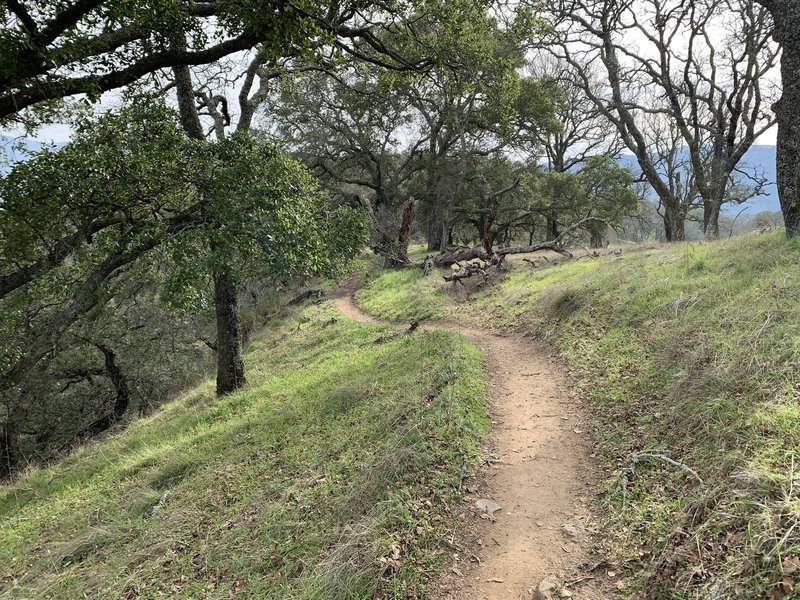 Ridgeline Trail is gorgeous in the winter months