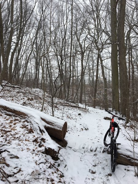 Nice in winter when the trails are frozen