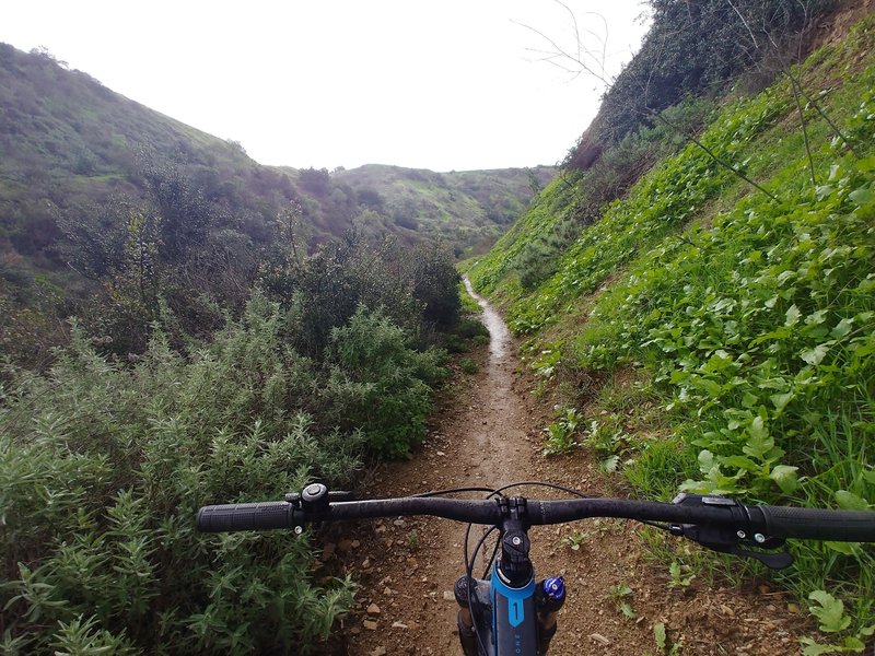 Trails turn greasy in the rainy season