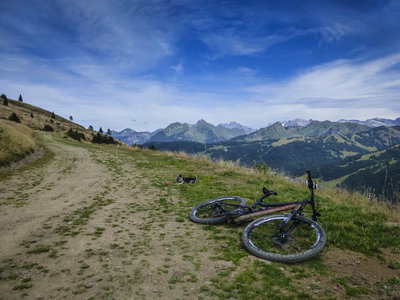 Watch for local wildlife near the top of Mount Chéry