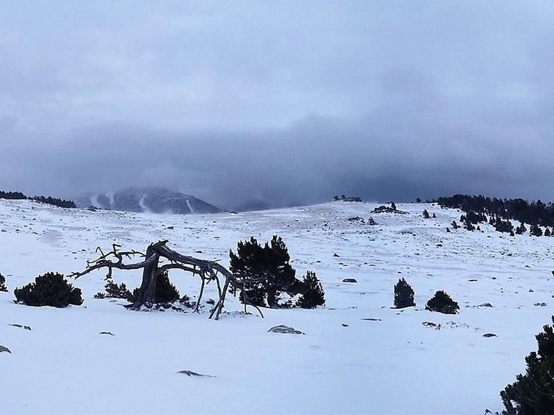 Winter view from the summit