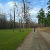 Couple of new homesteads along the Juliette Road but still quiet.