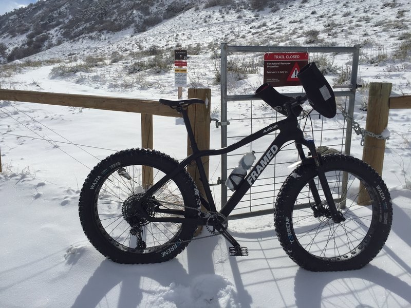 Fat biking two brands. If only Black bear were still open.