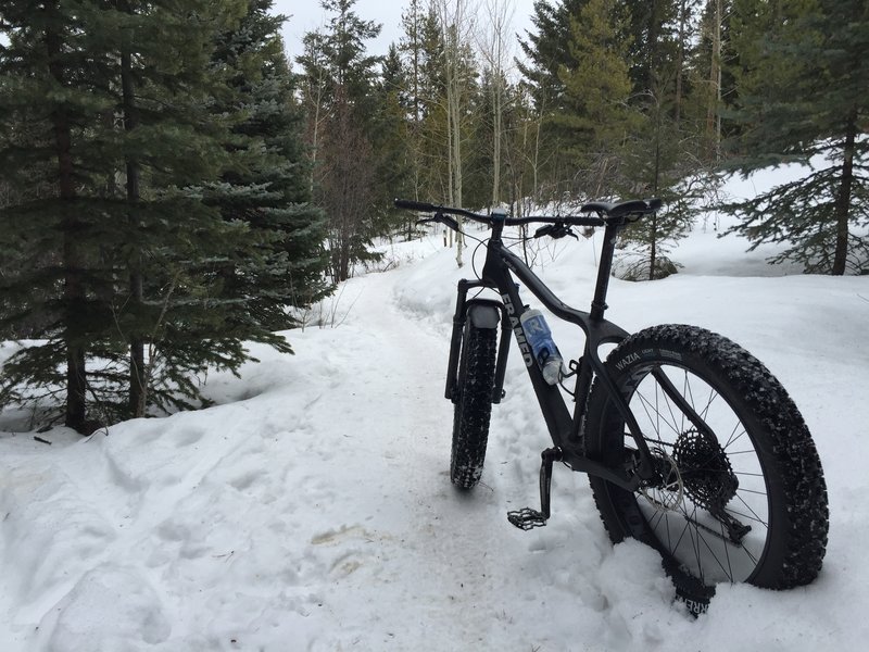 Great Fat biking spot. Trail faces north so it won’t melt as fast.