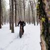 Groomed singletrack for fat biking at Riverside State Park.