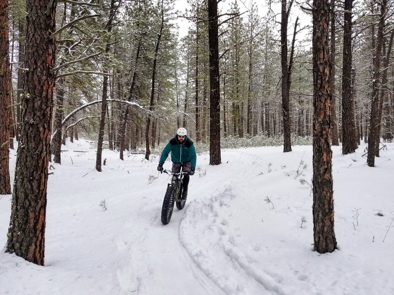 Groomed singletrack for fat biking at Riverside State Park.