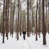 Groomed singletrack for fat biking at Riverside State Park.