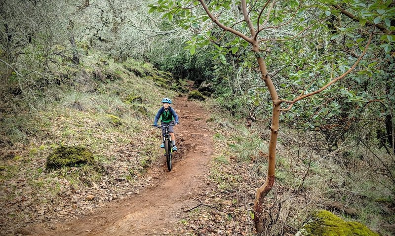 Son's second time on a trail, first time at Annadel.