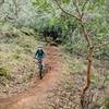 Son's second time on a trail, first time at Annadel.