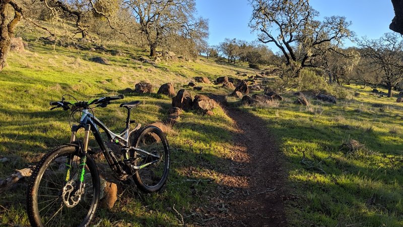 A break in the rains on Rough Go Trail.