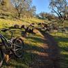 A break in the rains on Rough Go Trail.