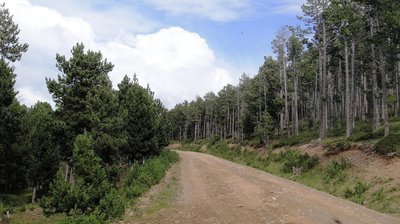 Route through the nordic ski station.