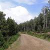 Route through the nordic ski station.