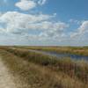 Looking west down the Everglades Conservation Levee Greenway.