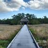 Boardwalk trail on the Butterfly Loop in the SWA Greenway system.