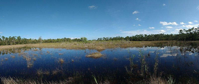 Panoramic view from the SWA Greenway Butterfly Loop trail.