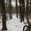 A nice section of the Interloken trail through Finger Lakes National Forest.