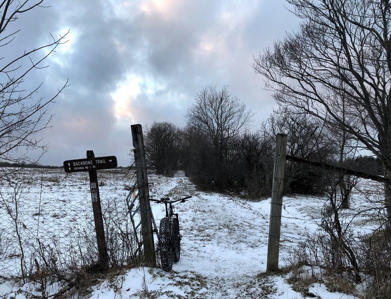 Passing through a gated field entrance on the Backbone trail in Finger Lakes National Forest.