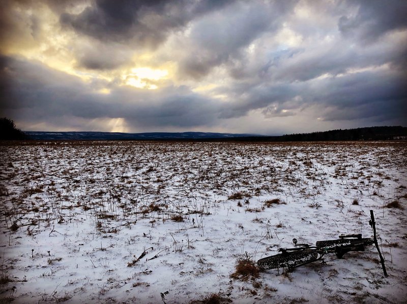 Beautiful views of the Seneca Lake valley along the Interloken trail.