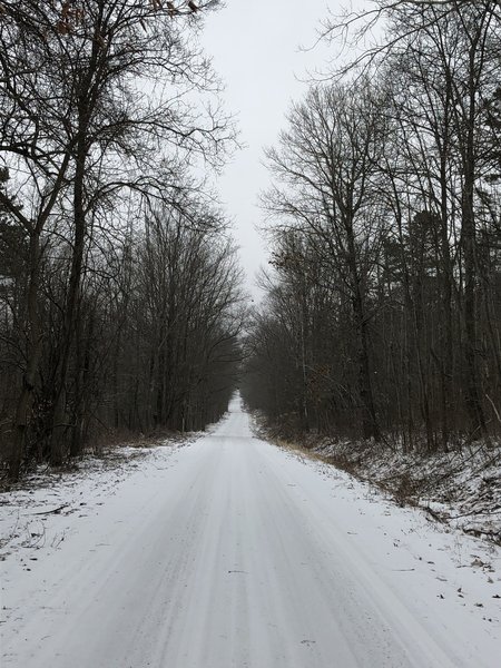 Connecting Finger Lakes National Forest trails by riding Burnt Hill Road.