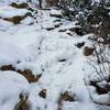 Looking back at a great obstacle which is even more exciting with snow.