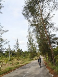 On the pavement trail