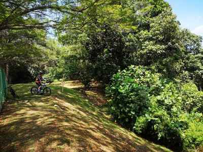 Downhill