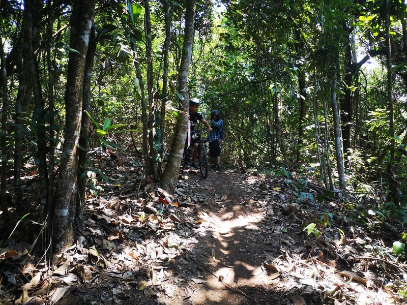 Going down the trail