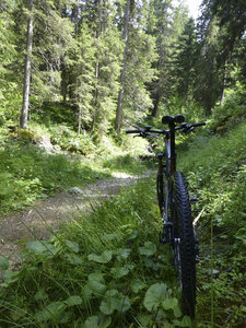 A piece of singletrack along the tour du plateau de Loex.