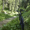 A piece of singletrack along the tour du plateau de Loex.