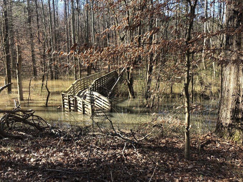 First bridge flooded 2/25/19