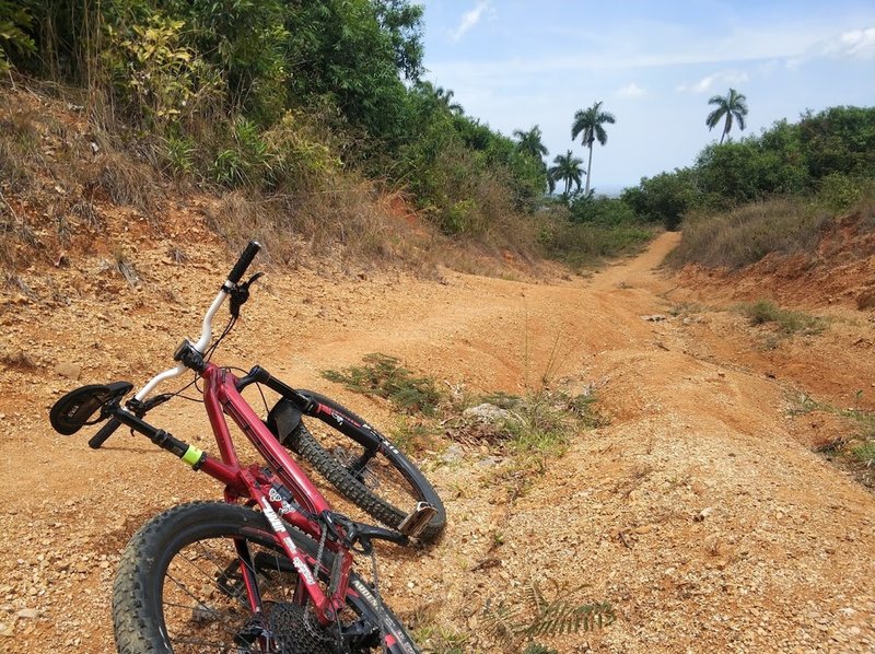 Sand trail close to the Minas de Buenavista