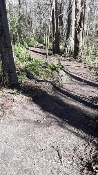 Typical trail example