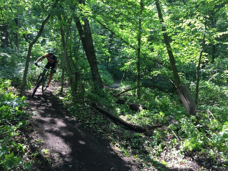 Rider flowing up over a grade reversal on the BlueTour at Beverly Park