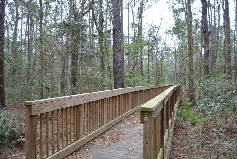 The awesome bridge from White Trail to Blue Trail.