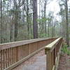 The awesome bridge from White Trail to Blue Trail.