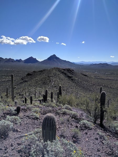 Looking down towards one of the wonderful gnar bar descents on Brown Mountain.