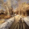 Clear Creek Trail shadows.