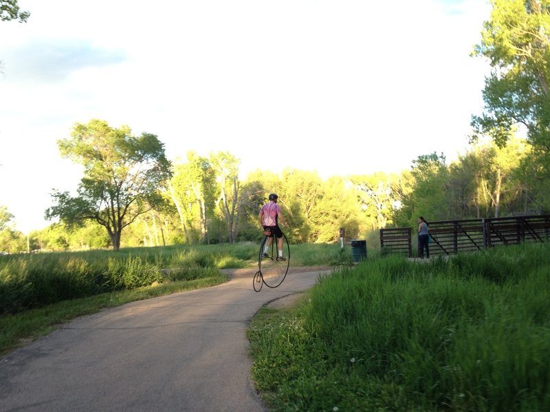 Penny farthing on Clear Creek Trail.