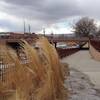 Underpass at Ralston Central Park.