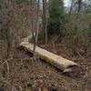 About 30' of 16" to 20" wide bridge going over an area next to a drain pipe that had poor drainage.