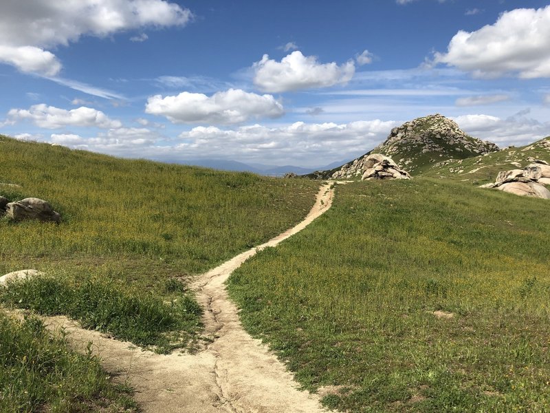 Nice pasture on the Skyline Loop #1