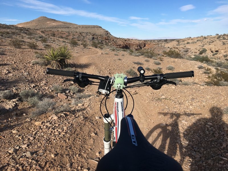 Flowing trail next to small canyon