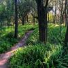 Near the picnic benches