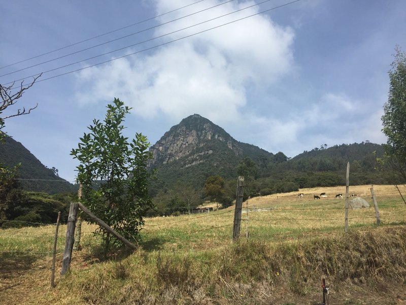 Cerro de Guaica